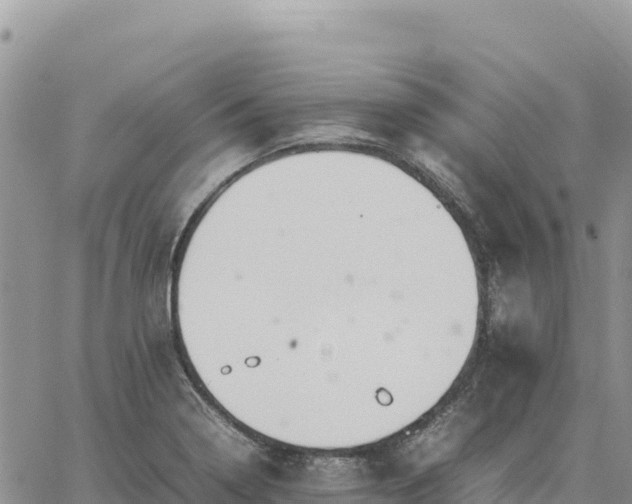 X0000064771322200602171814