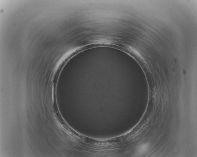 X0000064771323200602171814