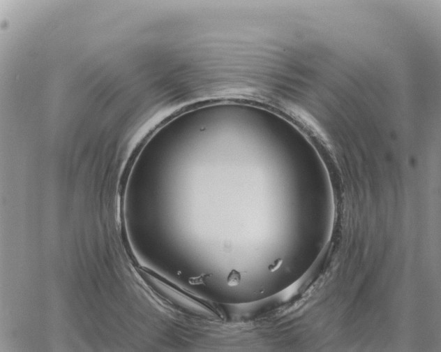 X0000064771324200602171814