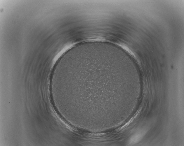 X0000064771325200602171814