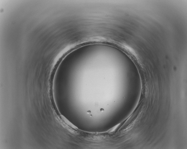 X0000064771326200602171814