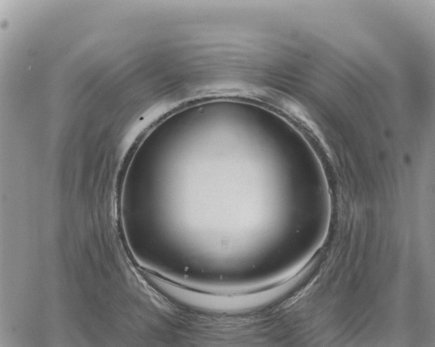 X0000064771328200602171814