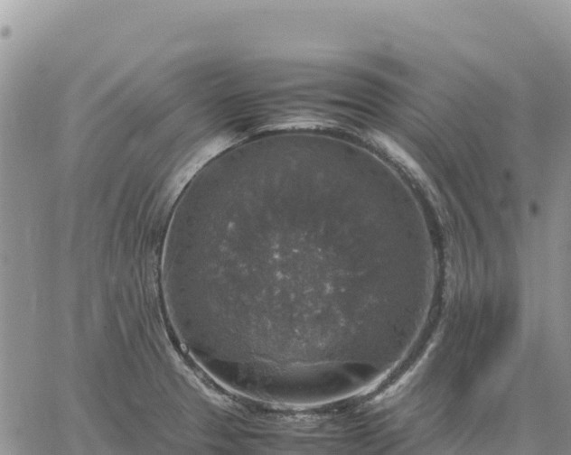 X0000064771329200602171814