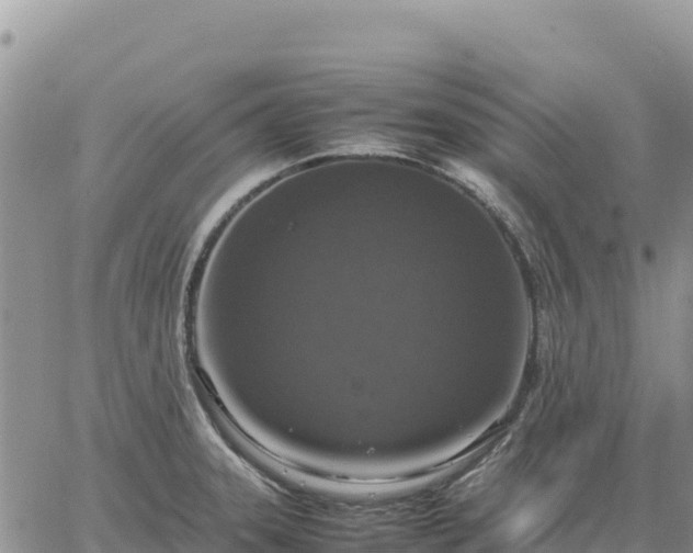 X0000064771331200602171815