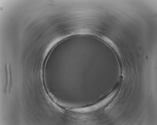 X0000064771334200602171815