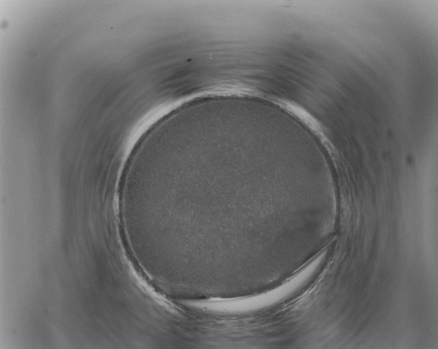 X0000064771335200602171815