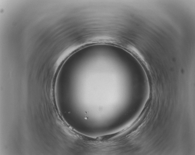 X0000064771336200602171815