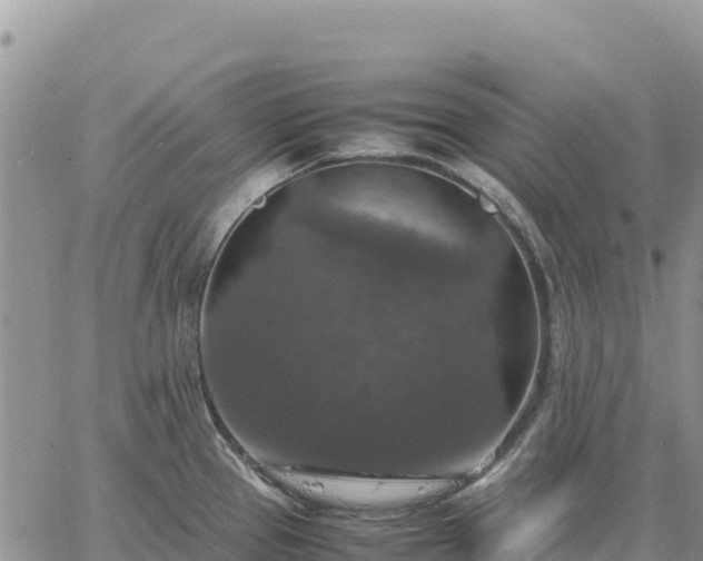 X0000064771337200602171815