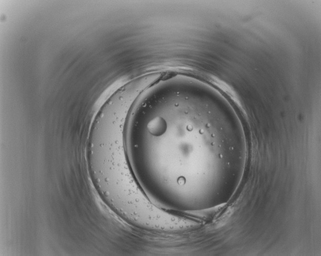 X0000064771338200602171815