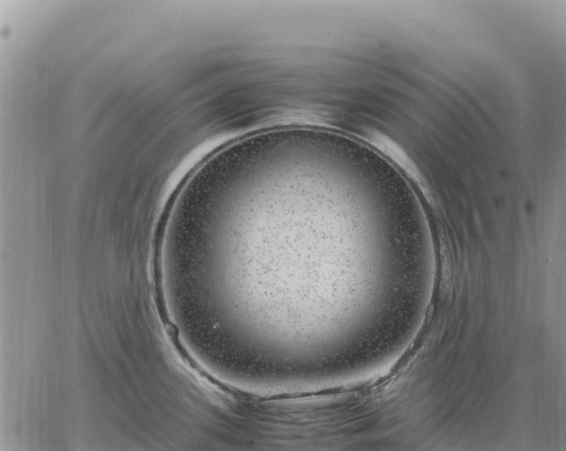 X0000064771339200602171815