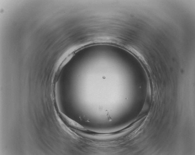 X0000064771342200602171815