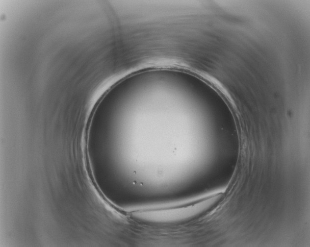 X0000064771343200602171815