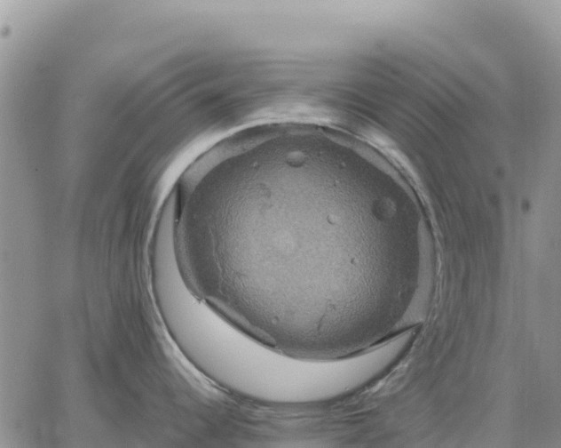 X0000064771344200602171815