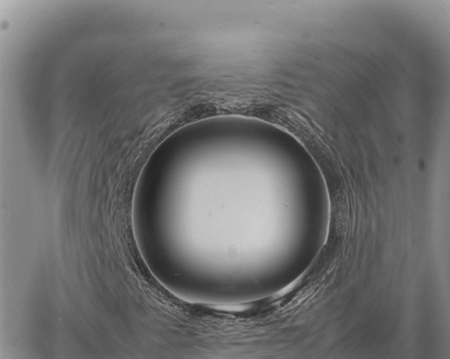 X0000064771345200602171814