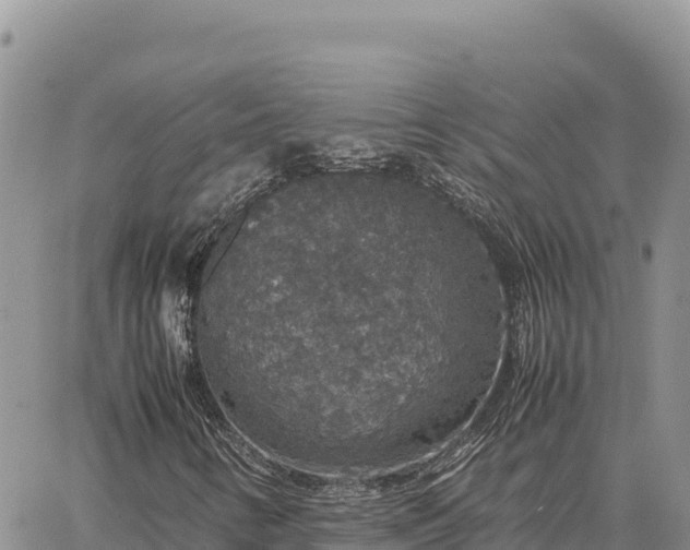 X0000064771346200602171814