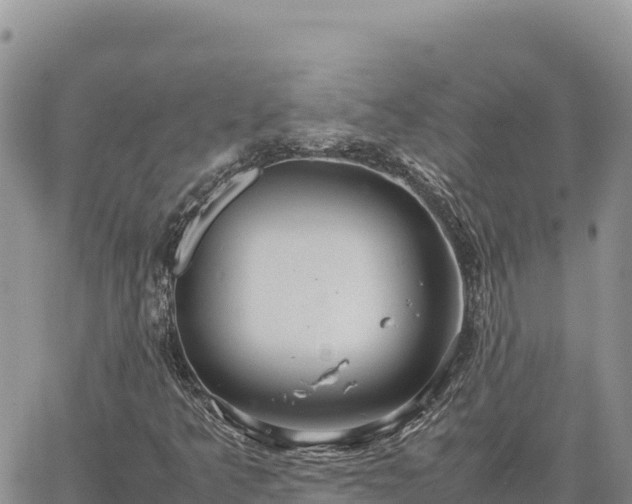 X0000064771349200602171814