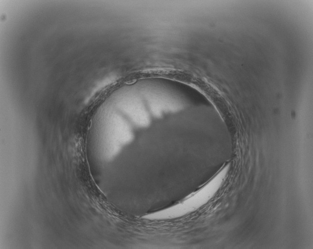 X0000064771351200602171814