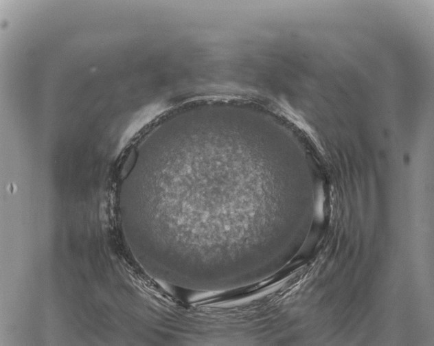 X0000064771352200602171814