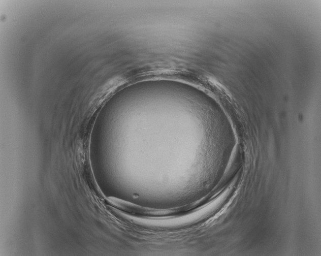 X0000064771353200602171814