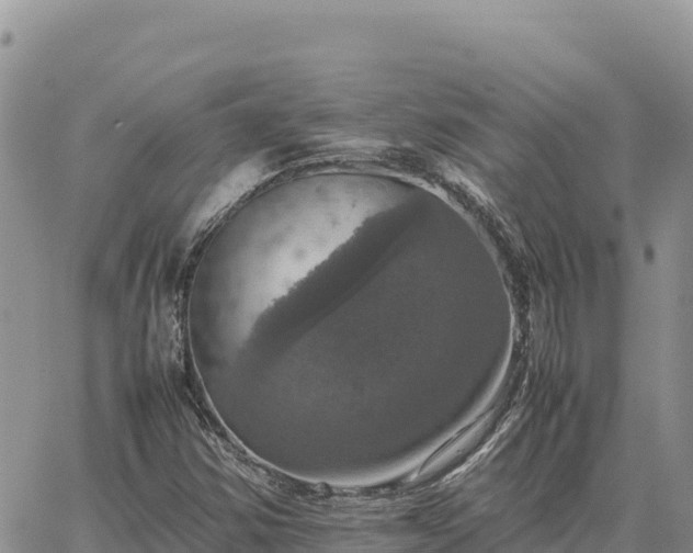 X0000064771354200602171814