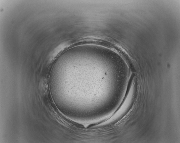 X0000064771355200602171814