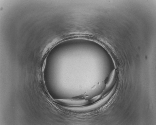 X0000064771357200602171814