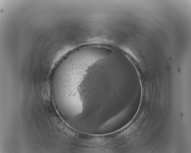 X0000064771358200602171814