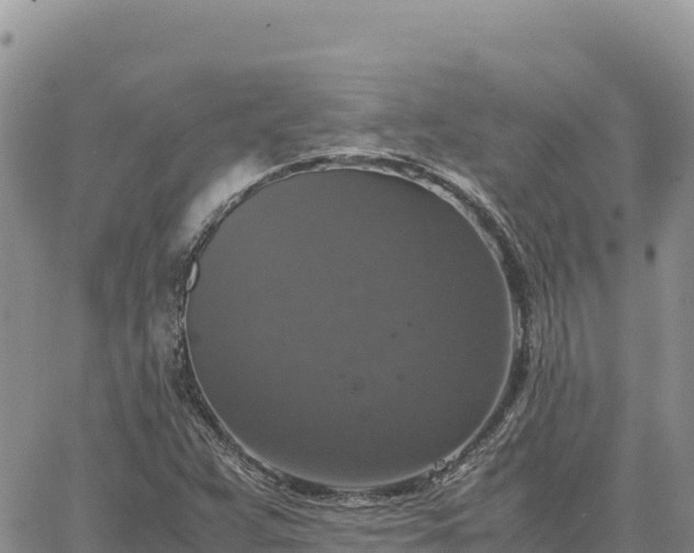 X0000064771359200602171814