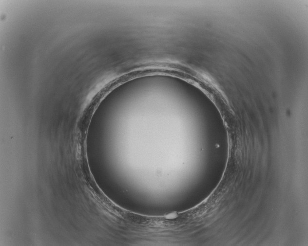 X0000064771360200602171814