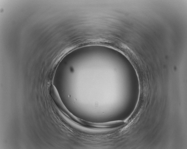 X0000064771361200602171814