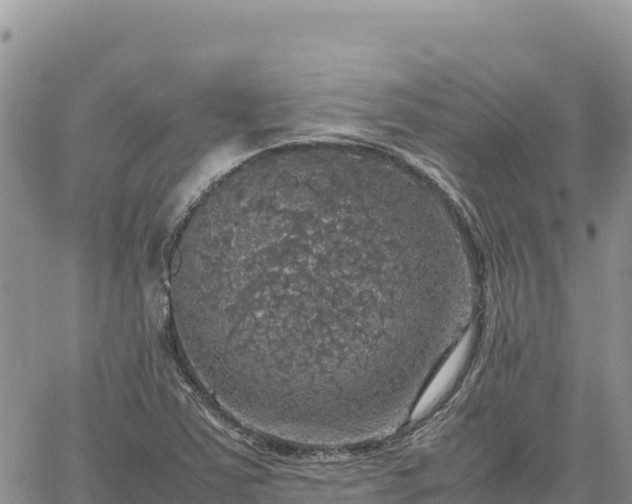 X0000064771363200602171814