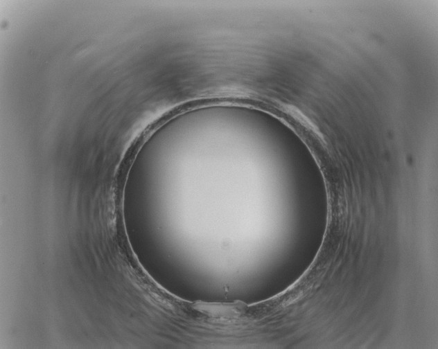 X0000064771364200602171814