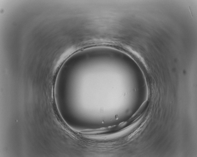 X0000064771365200602171814