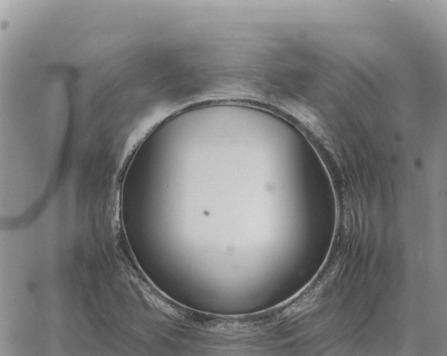 X0000064771366200602171814