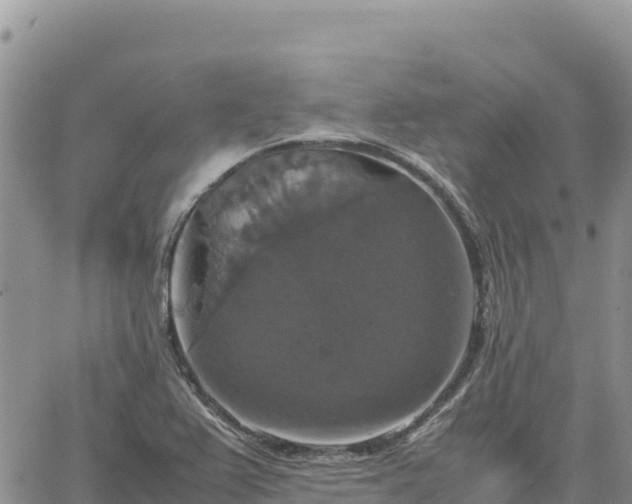 X0000064771367200602171814