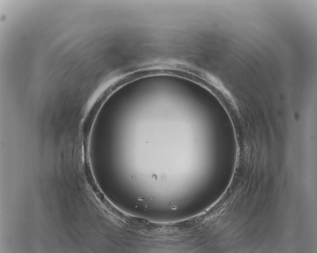 X0000064771368200602171814