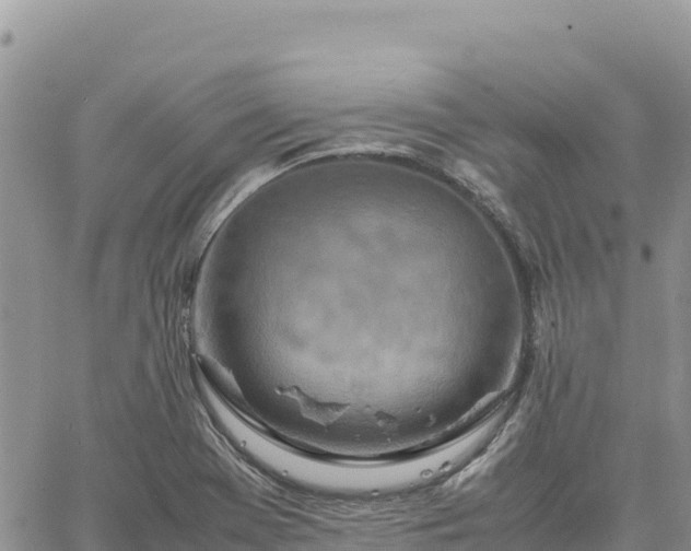 X0000064771369200602171814