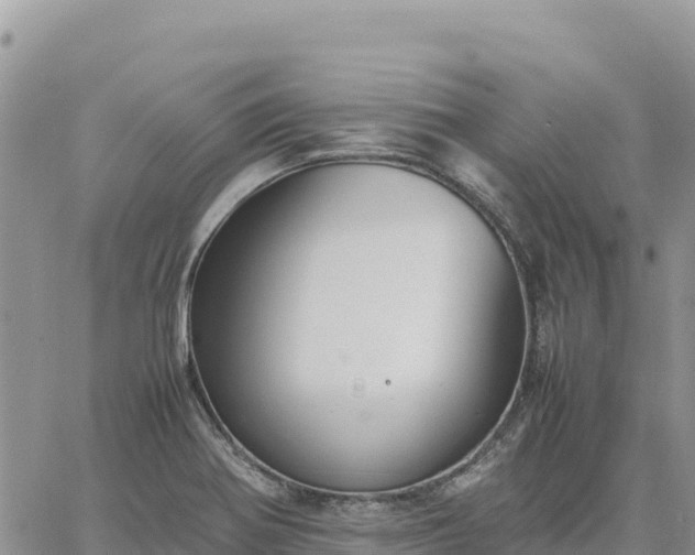 X0000064771370200602171814