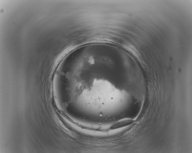 X0000064771371200602171814