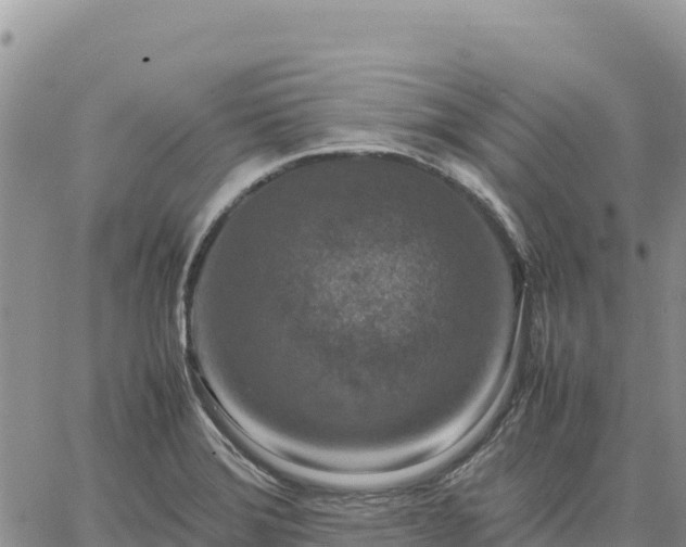 X0000064771372200602171814