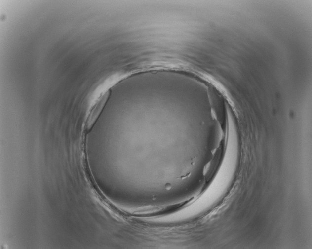 X0000064771373200602171813