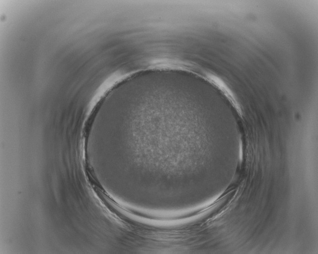 X0000064771376200602171813