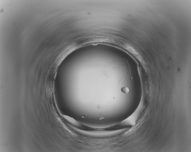 X0000064771377200602171813