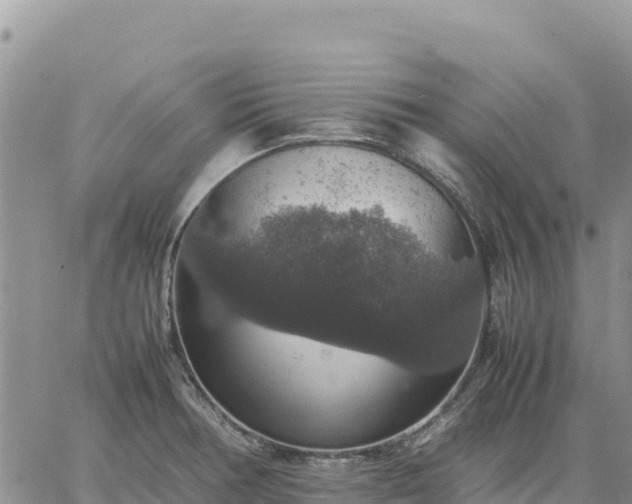 X0000064771378200602171813