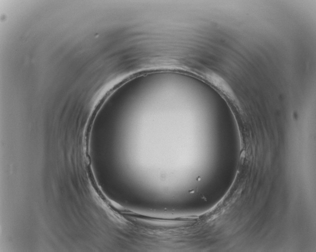 X0000064771380200602171813