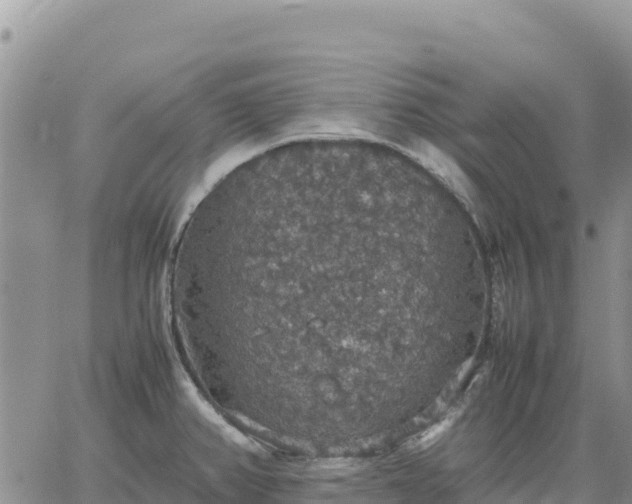 X0000064771382200602171813