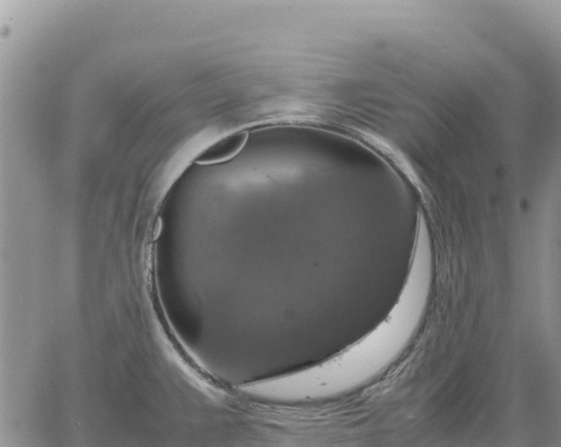 X0000064771383200602171813