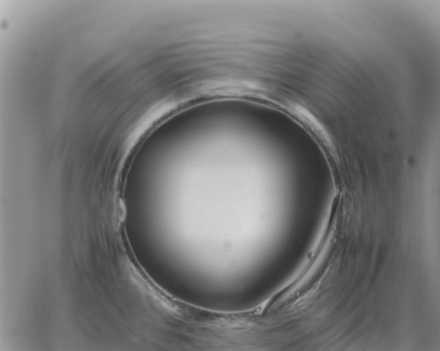 X0000064771384200602171813