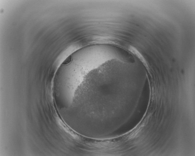 X0000064771386200602171813