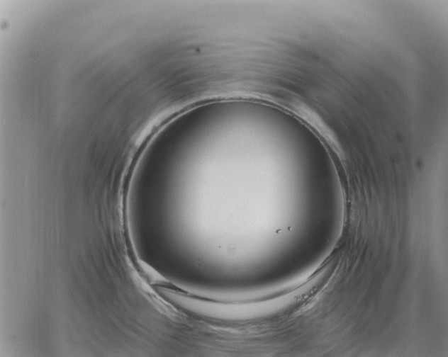 X0000064771388200602171813